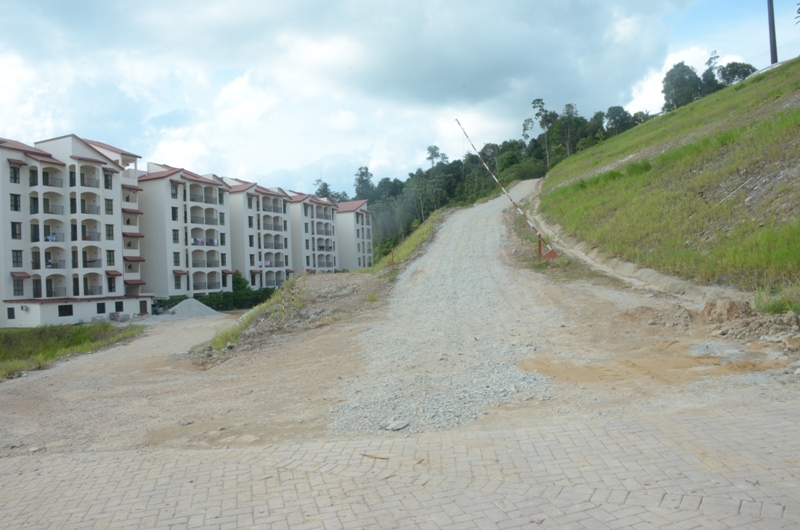 DSC 4719